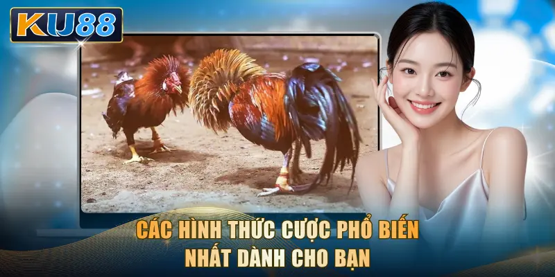 Các hình thức cược phổ biến nhất dành cho bạn