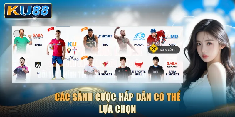 Các sảnh cược hấp dẫn có thể lựa chọn