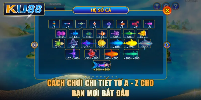 Cách chơi chi tiết từ A - Z cho bạn mới bắt đầu
