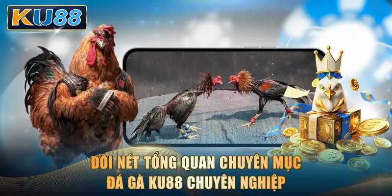 Đôi nét tổng quan chuyên mục đá gà KU88 chuyên nghiệp