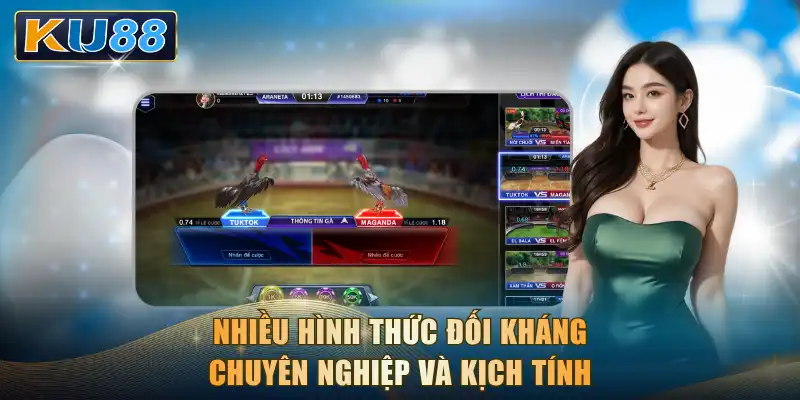 Nhiều hình thức đối kháng chuyên nghiệp và kịch tính