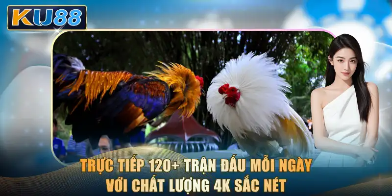 Trực tiếp 120+ trận đấu mỗi ngày với chất lượng 4K sắc nét